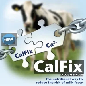 CalFix